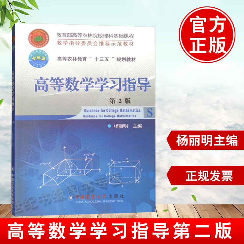 书籍 高等数学学习指导第二版第2版 杨丽