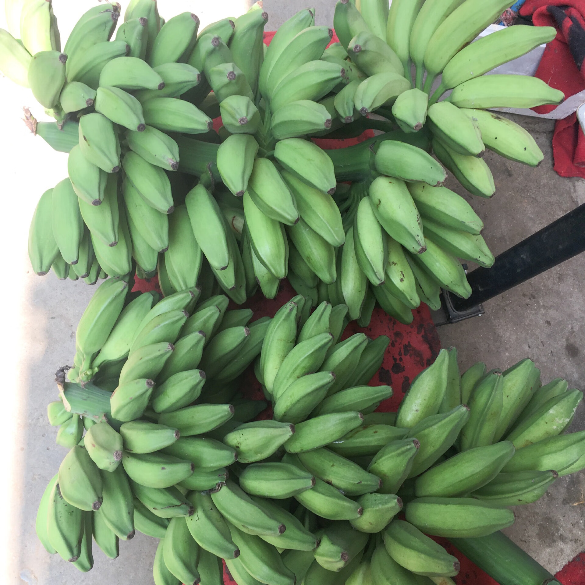 溪山鲜广西产地直供新鲜现摘牛蕉牛角蕉土芭蕉香蕉整串新鲜水果可代发