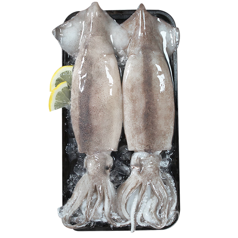 �����ʶ�������2-4������1.2-1.3�� �����������տ�ʳ�� ������� 97.71Ԫ��3��(��32.57Ԫ/��)