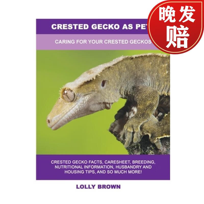 【4周达】crested gecko as pets: caring for your crested geckos