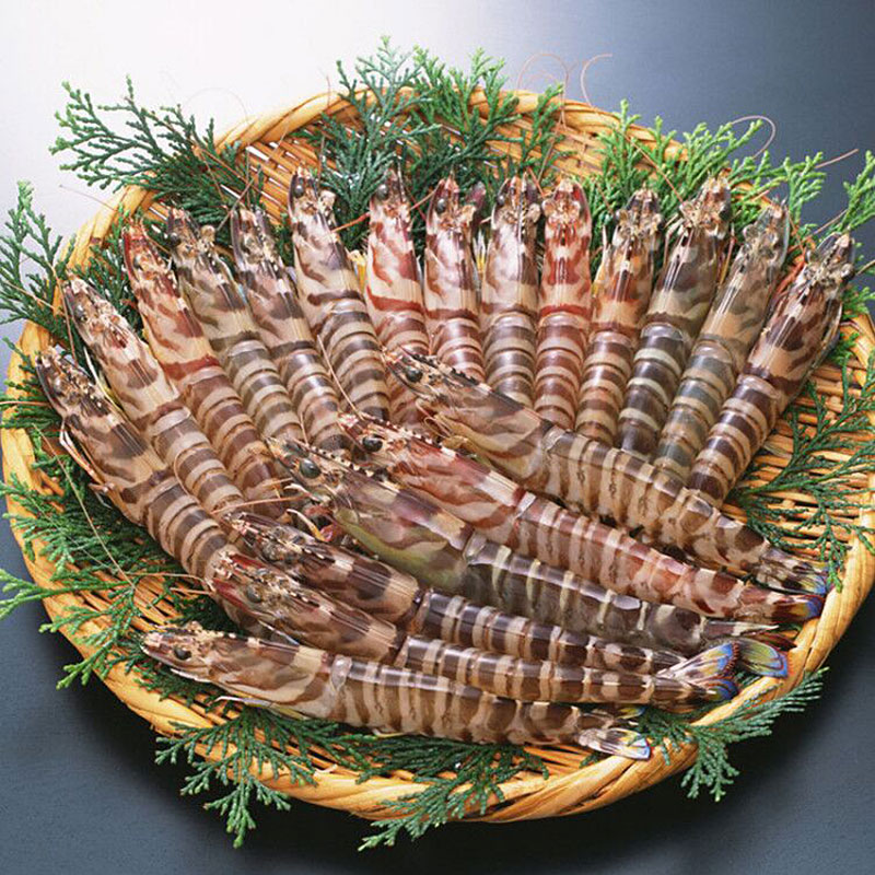 十里馋舟山竹节虾 新鲜九节虾黑虎虾斑节虾超大虾