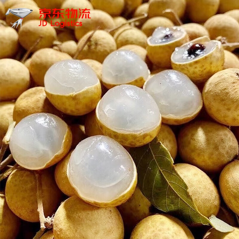 漳州石硖龙眼新鲜 3斤/5斤当季新鲜孕妇水果现摘大桂圆整箱 3斤【大