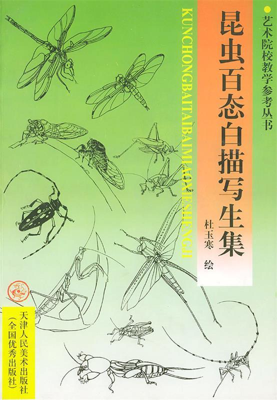 昆虫百态白描写生集 杜玉寒 绘【正版】