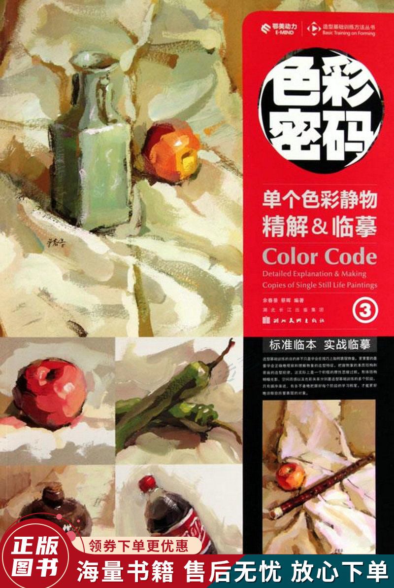 造型基础训练方法丛书·色彩密码--单个色彩静物精解&临摹