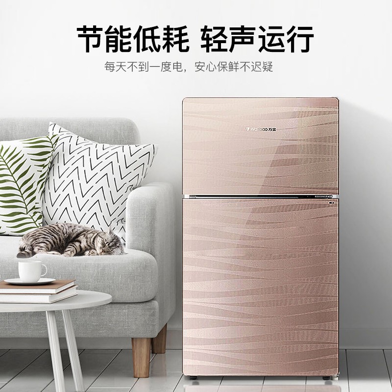 万宝（Wanbao）101升定频两门双门家用迷你小冰箱冷藏冷冻宿舍租房小巧不占地 BCD-101DCI节能省电