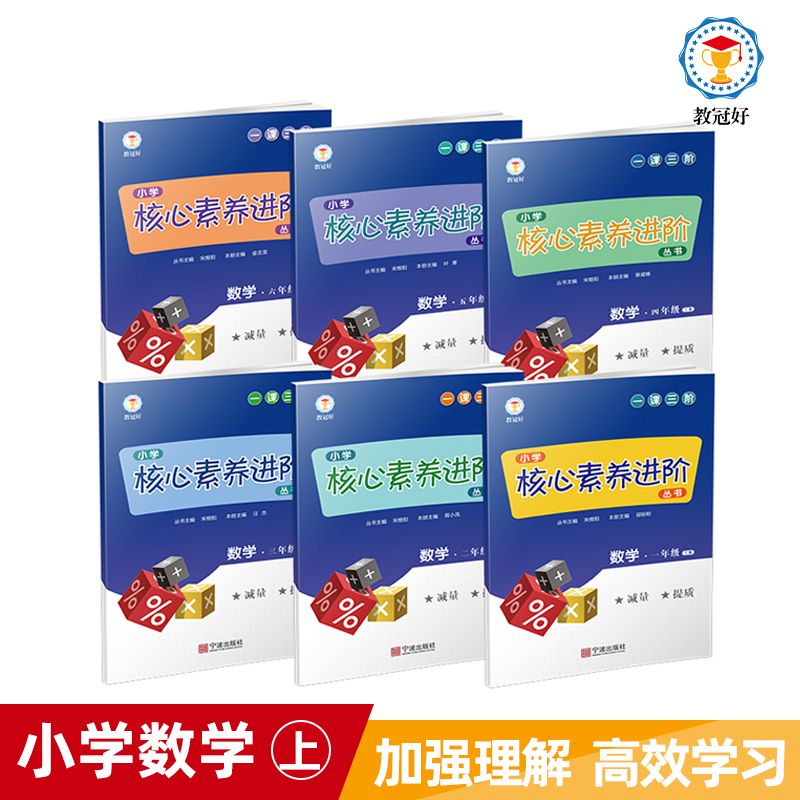 2023 小学核心素养进阶丛书 数学 五