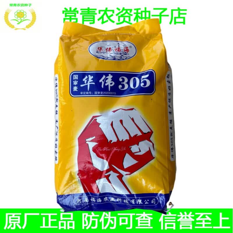国审华伟305小麦种子丰产稳产抗冻抗病抗倒强筋麦原装25斤怎么样,好用不?
