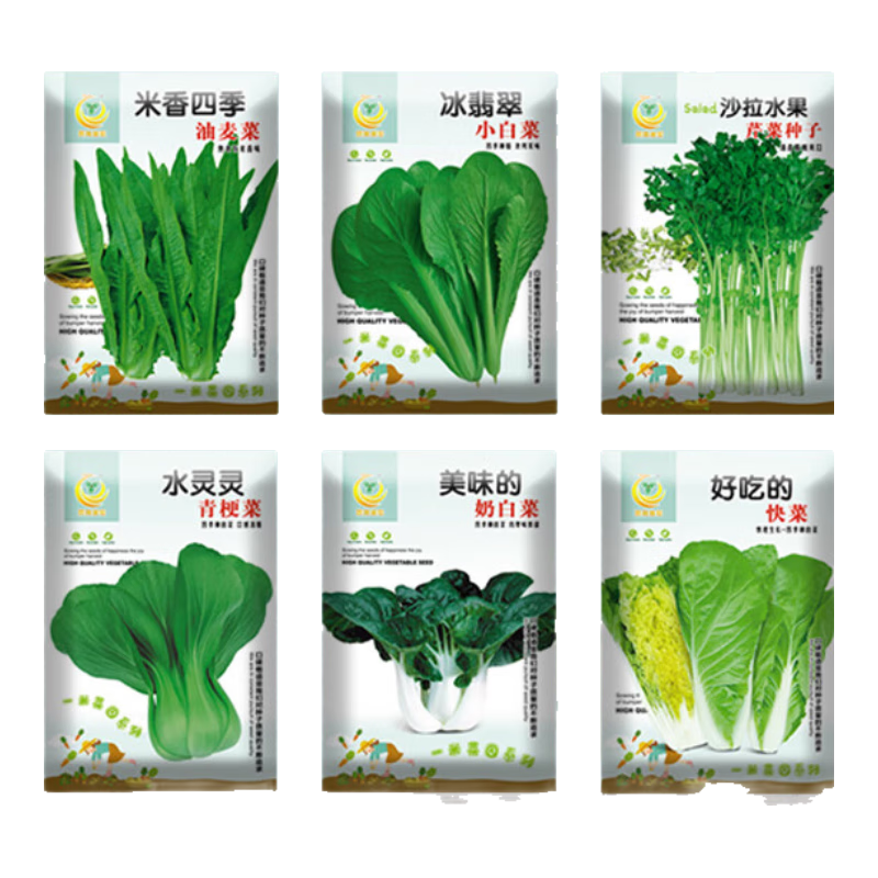 鳳鳴雅世四季蔬菜種子青菜芹菜小白菜等6種葉菜類易種蔬菜種子套餐