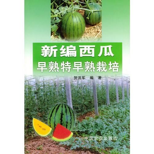新编西瓜早熟特早熟栽培