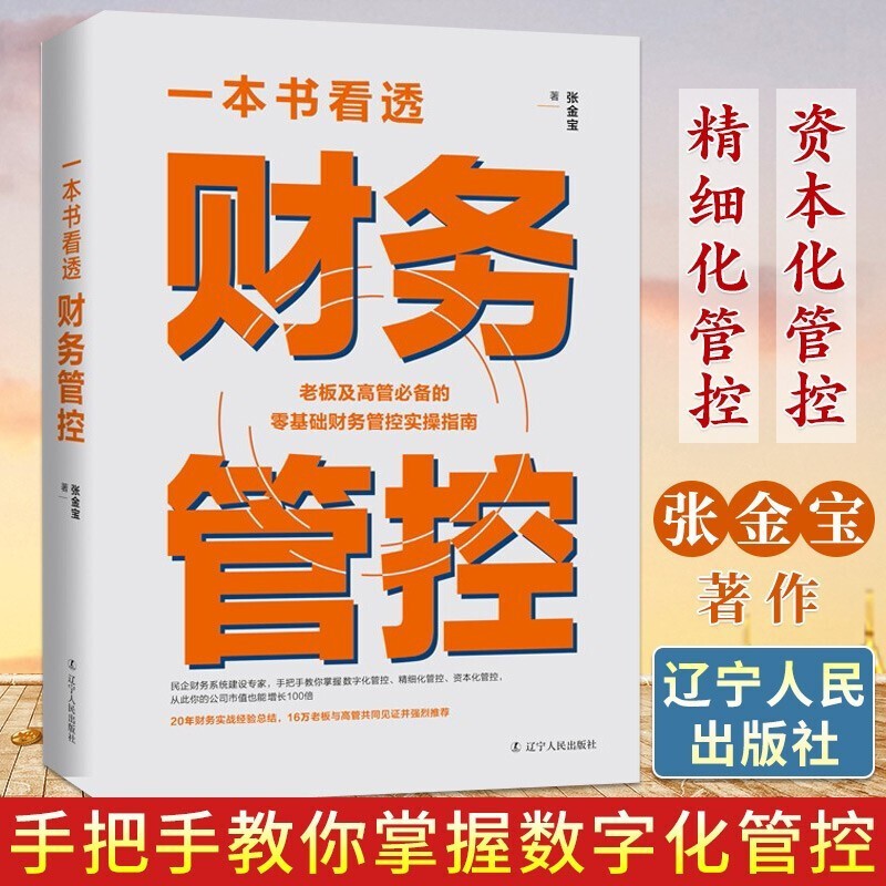 一本书看透财务管控 张金宝20年财务实战经验结零基础财务管控实指南民企财务系统建设把教你财务管控企业
