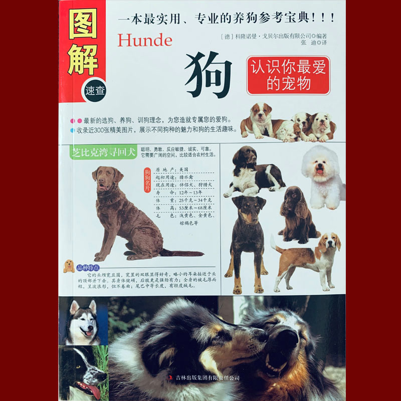 彩色图解 《图解狗》(认识你爱的宠物) 狗的品种 食物饲养 狗病用药