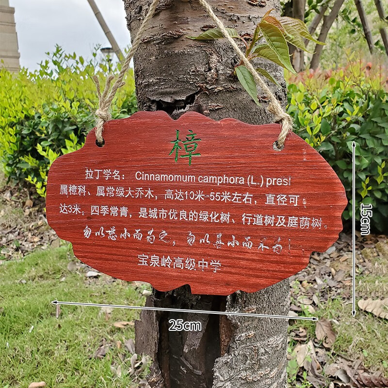 百家乐在线注册网址2025年3月22日基辅市天气预报：温暖的春日阳光伴随轻微阴云