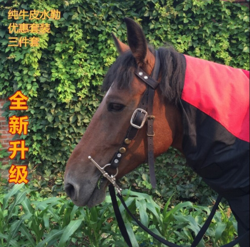 吉米兔(jimitu)马水勒马笼头马嚼子缰绳口衔龙头精骑马鞍马具马术用品
