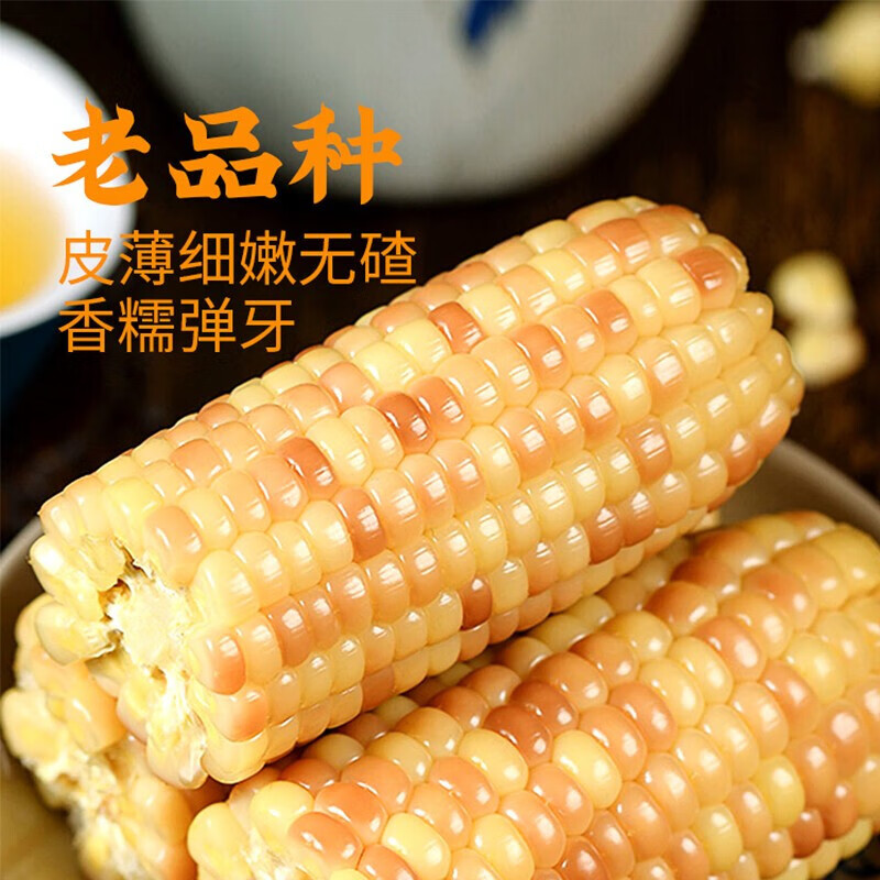 滇云涧西双版纳香糯小玉米棒新鲜真空免煮即食熟黏糯米包谷袋装 软糯