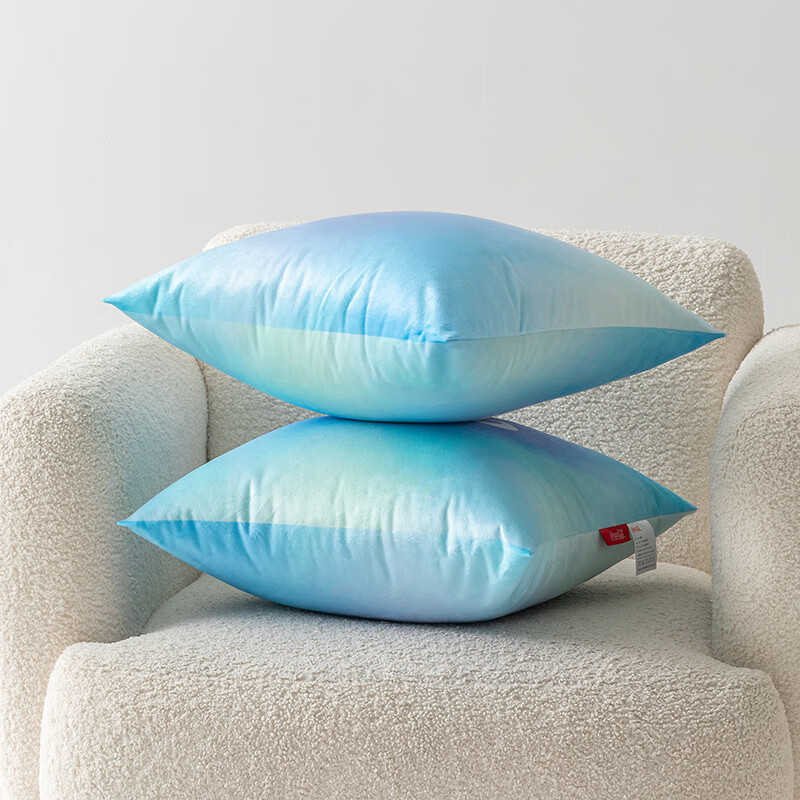 可口可乐水晶绒抱枕办公室午睡沙发靠垫车用腰靠枕 魅惑可可 45cm*45cm 含枕芯 一对装