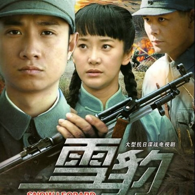 巷寐雪豹dvd文章 大型抗日谍战电视连续剧 全集碟片光盘