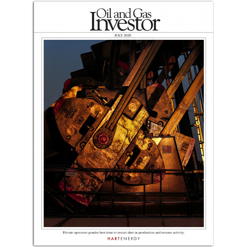 【单期可选】Oil and Gas Investor 英文石油与燃气投资者杂志 2020/21年月刊 2020年7月刊
