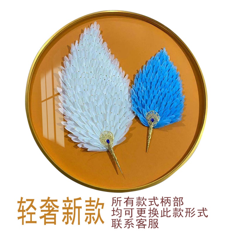 毕曦之新款羽毛实物画 圆形天然羽毛手工立体实物画玄关装饰画轻奢 新