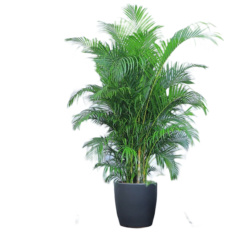 Only youСʱǮɢβ»ͩԿҵǨ  ɢβ 302.3Ԫ