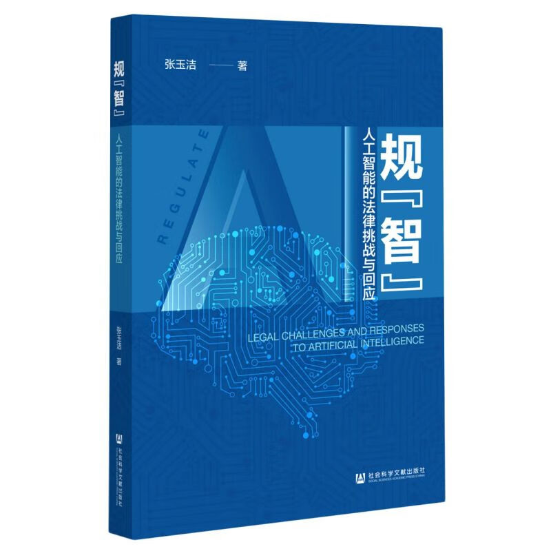 规智(人工智能的法律挑战与回应)