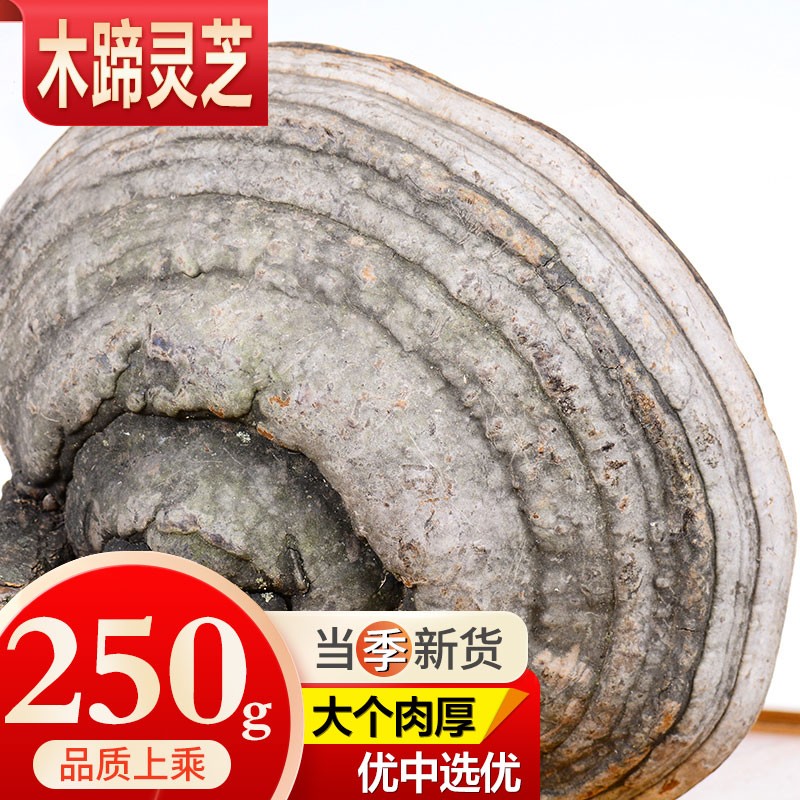 敬贤堂 长白山马蹄灵芝 木蹄灵芝长白山木蹄灵芝可切片 木蹄灵芝250g