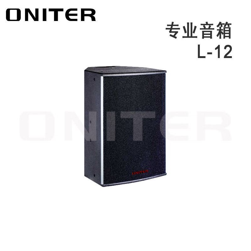 ONITER专业音箱L-12