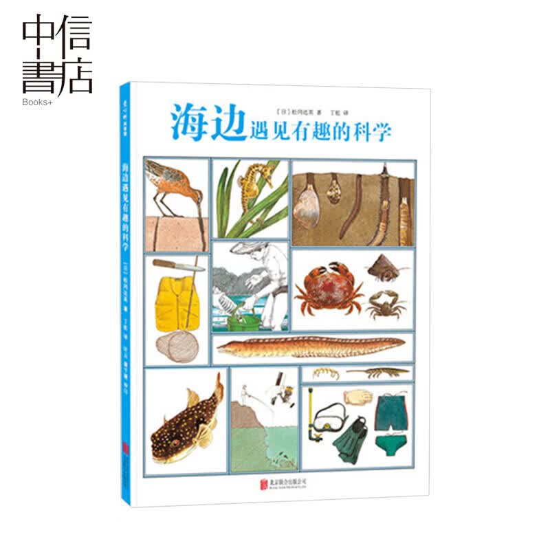 海边遇见有趣的科学