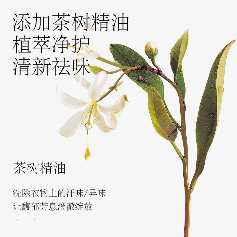 植护香水洗衣液 甜梦牧羊 持久留香深层洁净低泡易漂 4斤*1瓶+内衣洗衣液300g