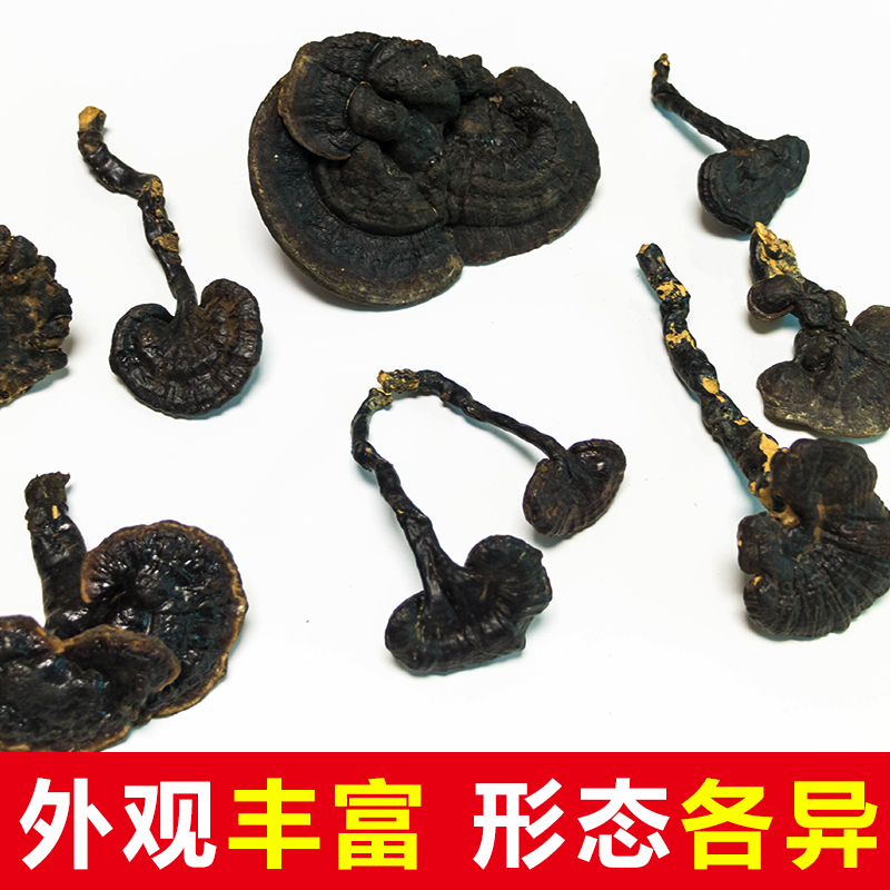 贵州纯野生灵芝紫灵芝林芝非一斤装特级整枝可切片泡酒黑灵芝250g