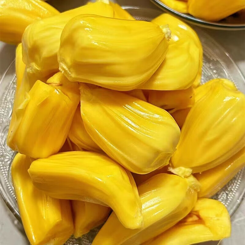 南业果(NANYEGUO)海南菠萝蜜新鲜热带水果波罗蜜当季特产一整个黄肉整箱现摘现发 20-25斤