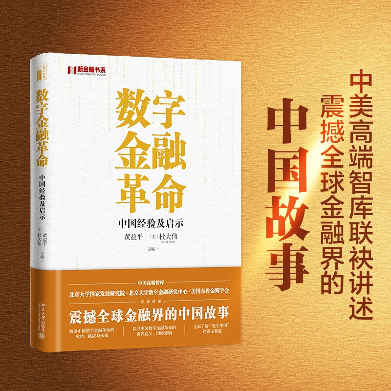 数字金融革命：中国经验及启示 全方位了解中国的数字金融发展