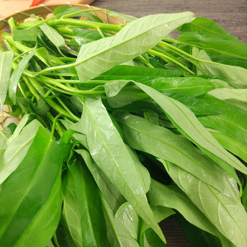 空心菜种子白梗三叉通空心菜种籽农家阳台蔬菜种孑苗 泰国空心菜30克