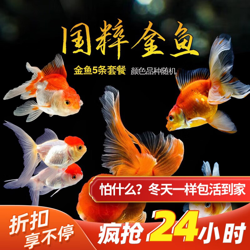 水族活体网购商品历史价格查询|水族活体价格比较