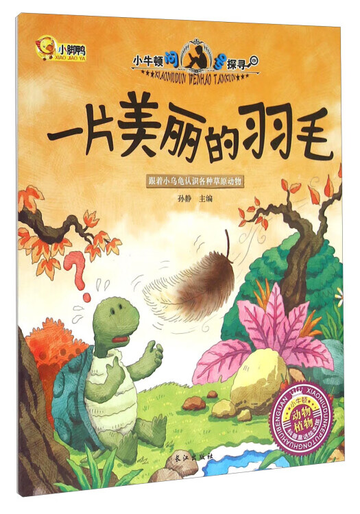 一片美丽的羽毛【正版图书,放心购买】