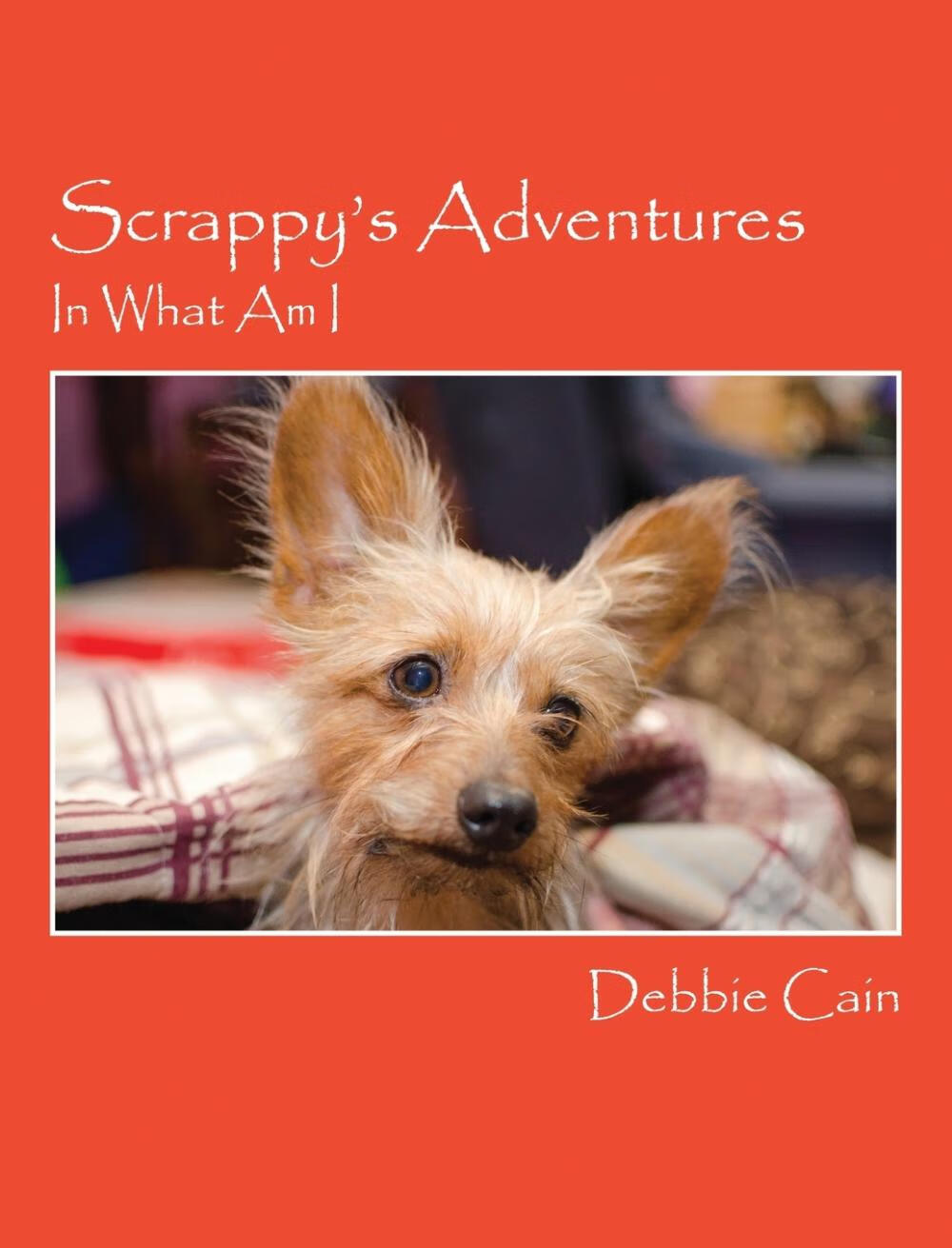 【预售 按需印刷】scrappy s adventures