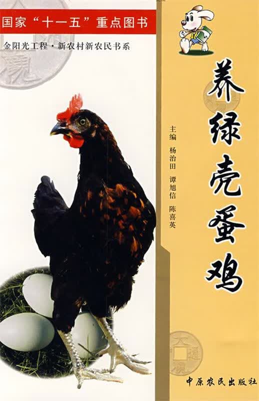 养绿壳蛋鸡