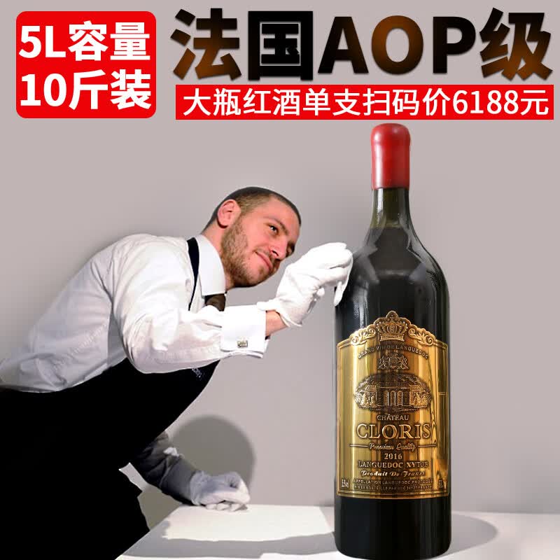 红酒单支法国进口aop级红酒10斤装5升大瓶干红葡萄酒5000ml*1