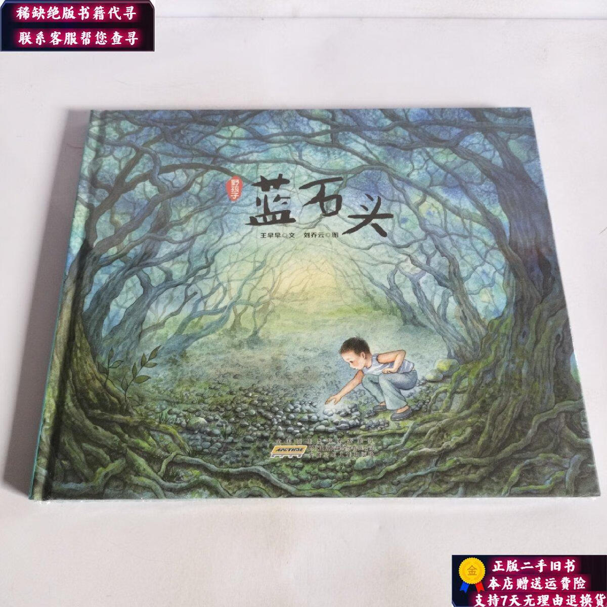 【二手9成新】野孩子:蓝石头 /王早早 安徽少年儿童出版社