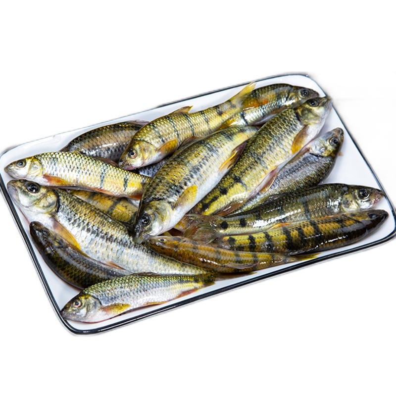 昱品源溪石斑魚淡水光唇魚小河魚冷水魚清水魚高山泉水魚黃山石斑魚雜魚 凈膛400g*2袋