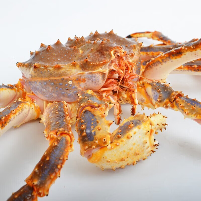 【顺丰空运】新鲜帝王蟹生鲜帝王蟹超大帝皇蟹帝王蟹活冻蟹净重 活冻蟹4-4.5斤整只