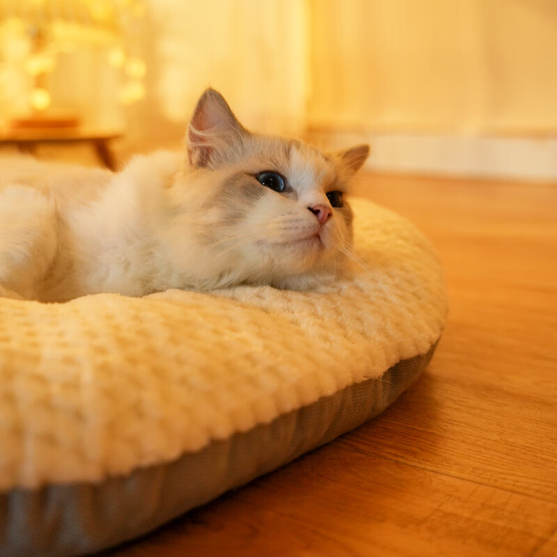 梵都宠舍狗窝垫子睡垫加厚加绒可水洗猫床垫冬季保暖猫咪睡觉用垫子小号