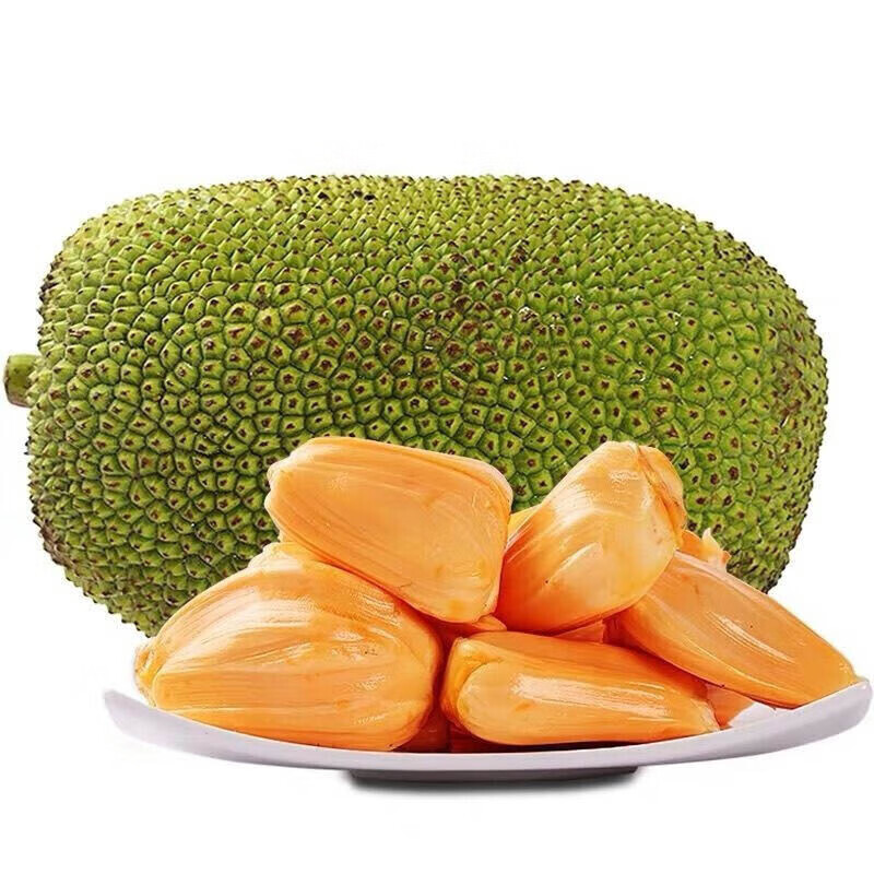 手机菠萝蜜价格波动网|菠萝蜜价格走势图