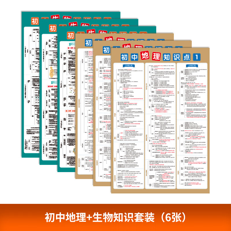 初中化学重点知识点挂图方程式归纳汇总挂图人教版全套墙贴纸现货 初中地理+生物(6张)