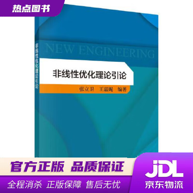 【新华书店 官方正版】非线性优化理论引论 张立卫,王嘉妮 科学出版社