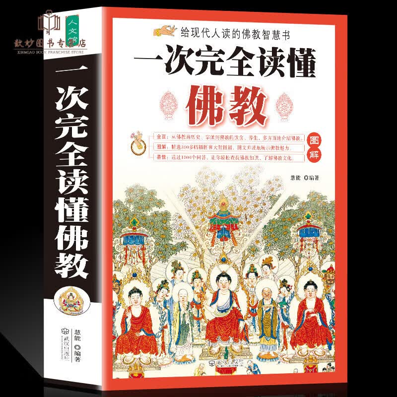 图解一次完全读懂佛教研究佛学佛教佛说藏传佛道经典历史知识学佛禅道佛书佛经静心经佛教入门书籍禅宗佛教百