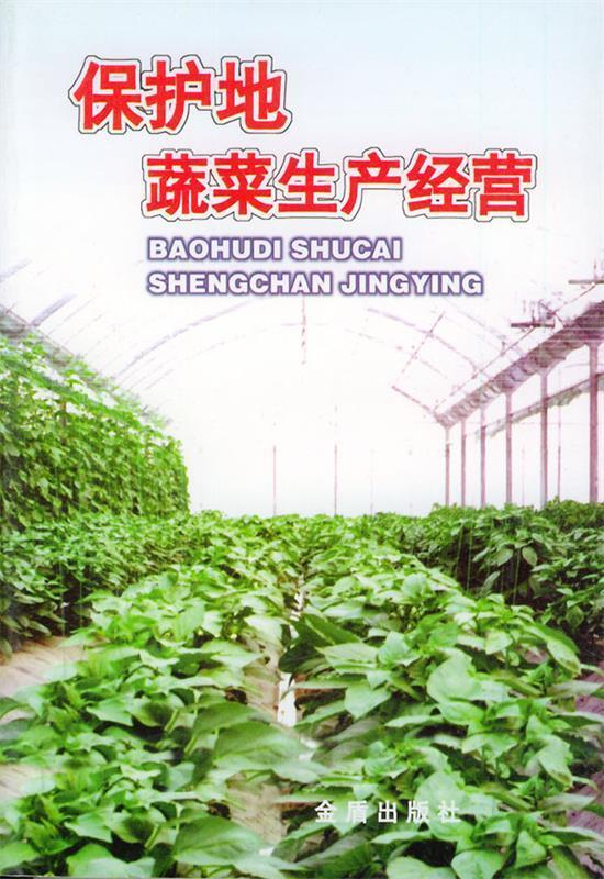 保护地蔬菜生产经营