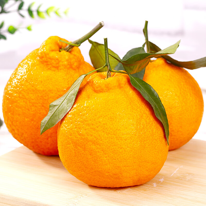 诱鲜地四川不知火丑橘桔子耙耙柑 4.5斤特大果85mm 新鲜水果源头直发