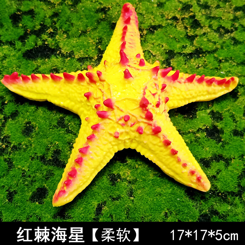 夜光八爪鱼章鱼鹦鹉螺海豚大白鲨安康鱼儿童玩具 红棘海星【柔软】