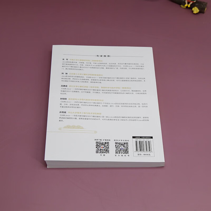 玩转Java--手把手教你编写300个精彩案例（计算机科学与技术丛书）