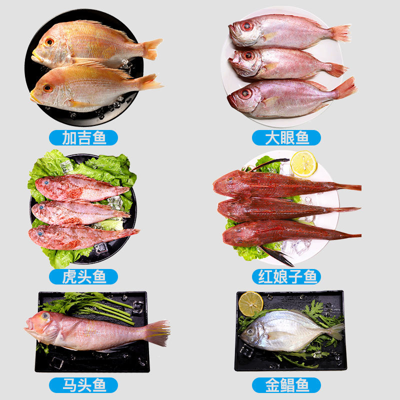 伯贤 东海海鲜海杂鱼冻鱼类新鲜深海鱼组合少刺鲜美 2500g